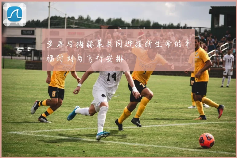 多库与梅赫莱共同迎接新生命的幸福时刻与飞行安排